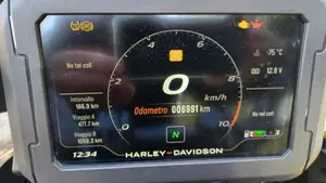 Harley-Davidson Pan America 1250 (2020 - 25)  (8)