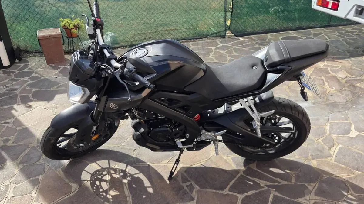 Yamaha MT-125 (2014 - 16)  (3)