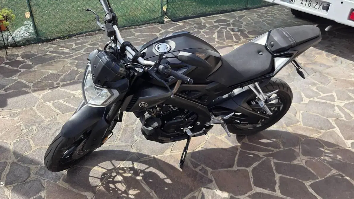 Yamaha MT-125 (2014 - 16)  (5)