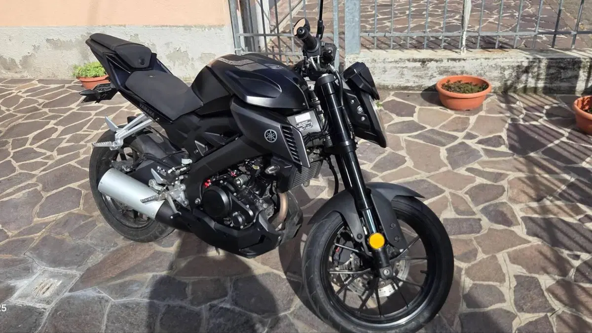 Yamaha MT-125 (2014 - 16)  (6)