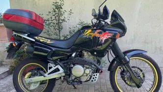 Honda NX 650 Dominator (1991 - 95) usata