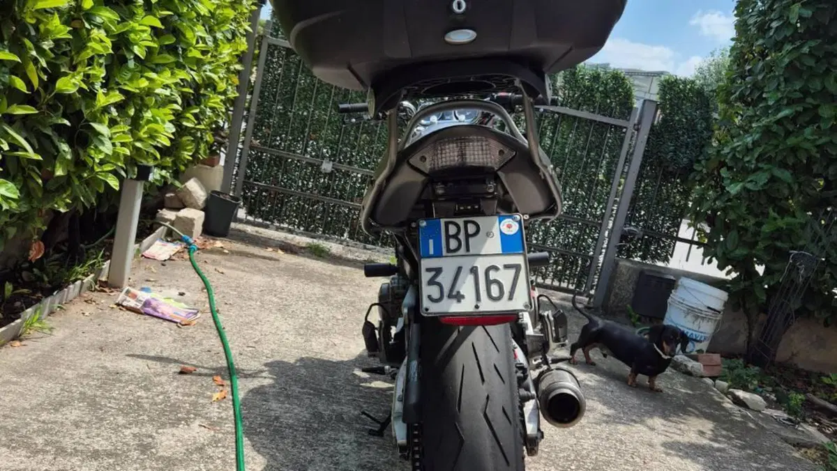 Honda Hornet 900  (6)