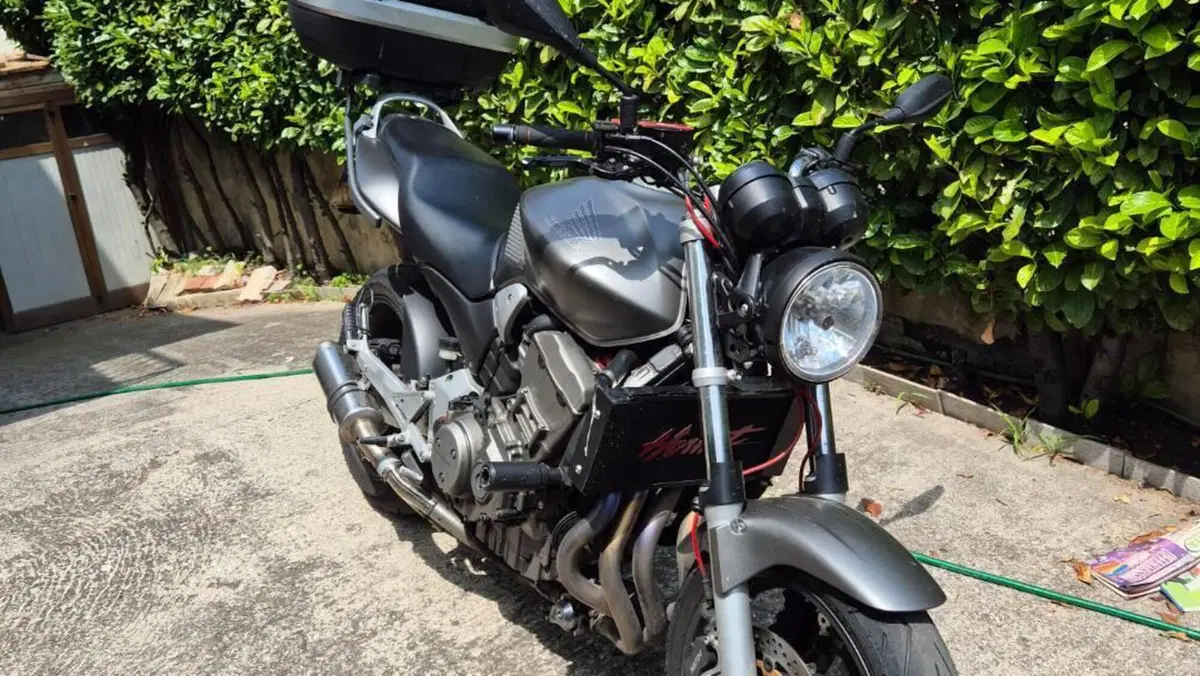 Honda Hornet 900  (7)