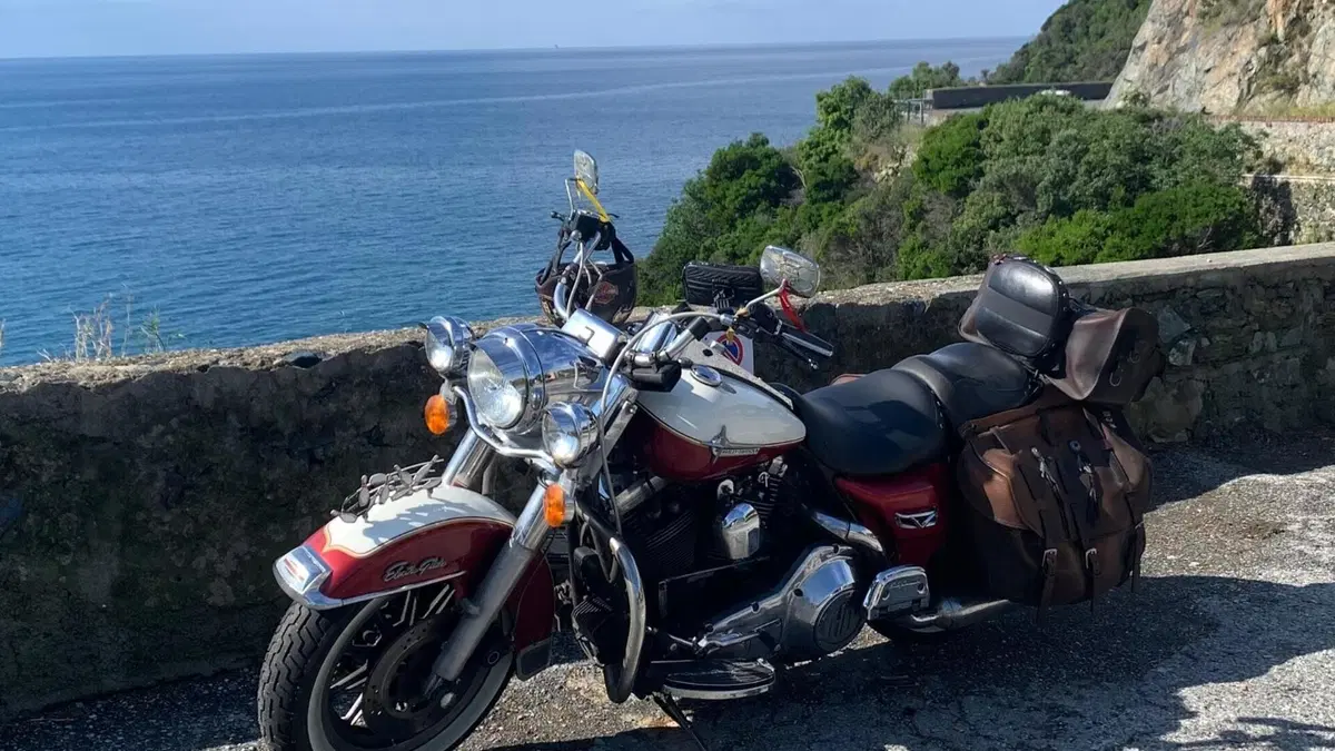 Harley-Davidson   (2)