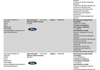 Ford Transit Custom Furgone 340 2.0 EcoBlue 170 PC Furgone Trail (20)