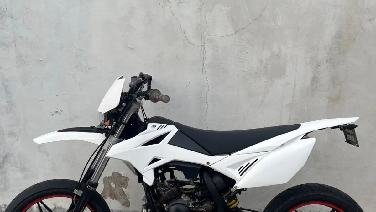Betamotor RR 50 Motard (2018 - 20)  (3)