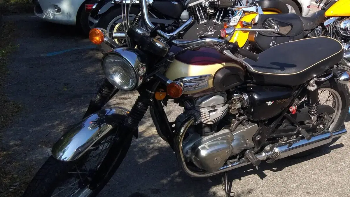 Kawasaki W 650 (2001 - 06)  (4)