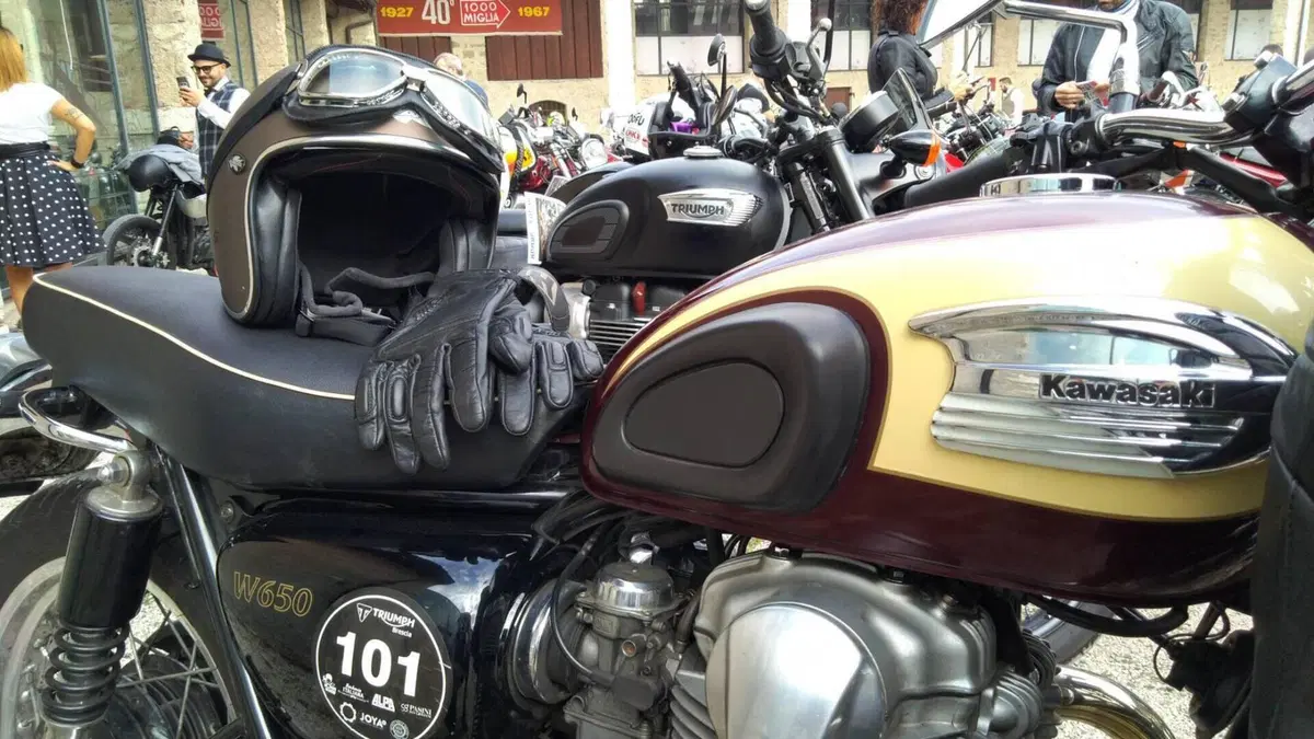 Kawasaki W 650 (2001 - 06)  (6)