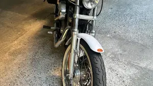 Harley-Davidson 1200 Low (2006 - 07) - XL 1200L  (3)