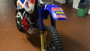Honda   (10)