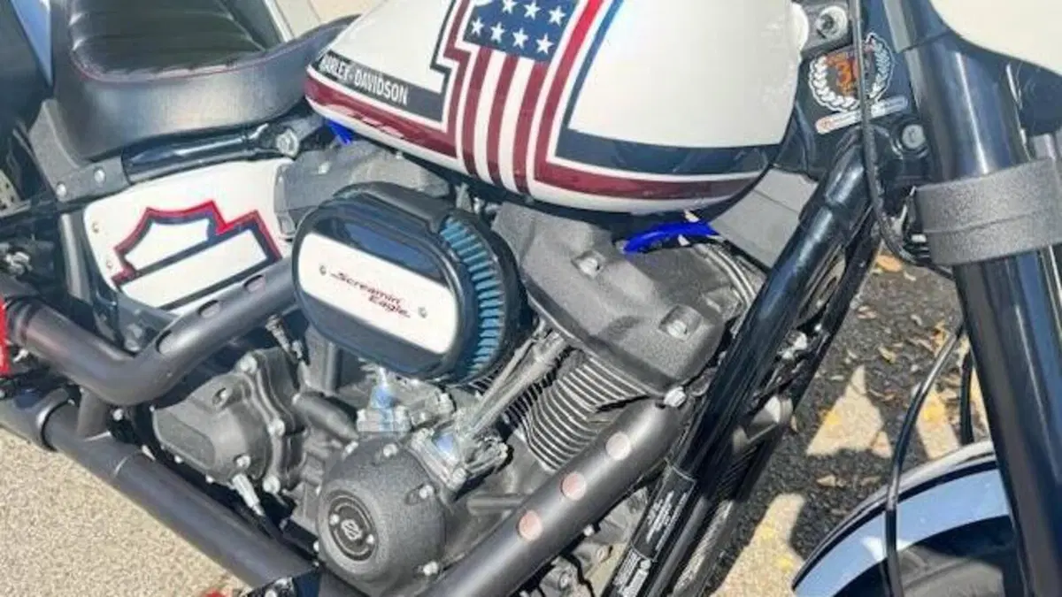 Harley-Davidson 114 Low Rider S (2021) - FXLRS  (6)