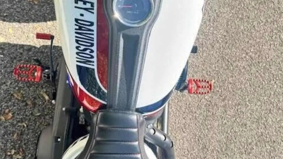Harley-Davidson 114 Low Rider S (2021) - FXLRS  (10)