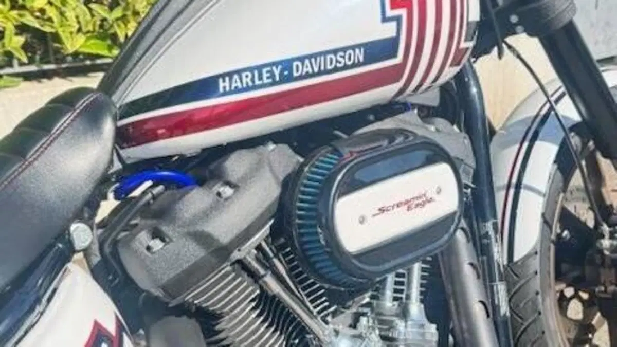 Harley-Davidson 114 Low Rider S (2021) - FXLRS  (11)