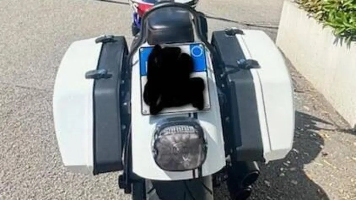 Harley-Davidson 114 Low Rider S (2021) - FXLRS  (15)