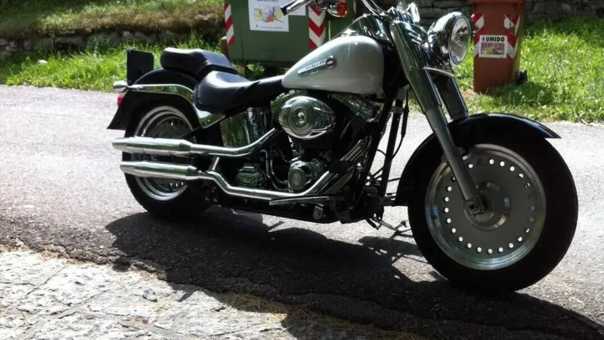 Harley-Davidson 1584 Fat Boy (2006 - 07) - FLSTF  (3)