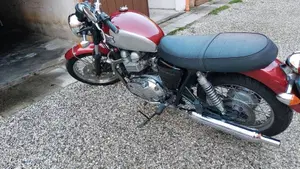 Triumph Bonneville 800 (2002 - 07)  (2)