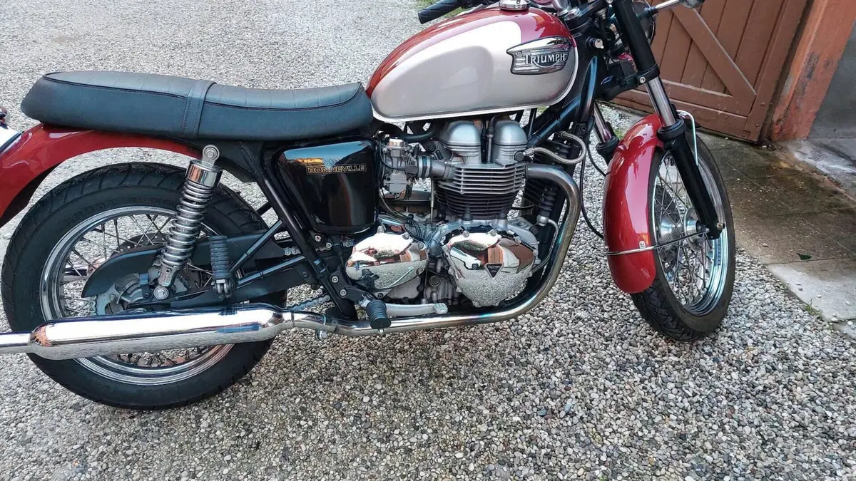 Triumph Bonneville 800 (2002 - 07)  (5)