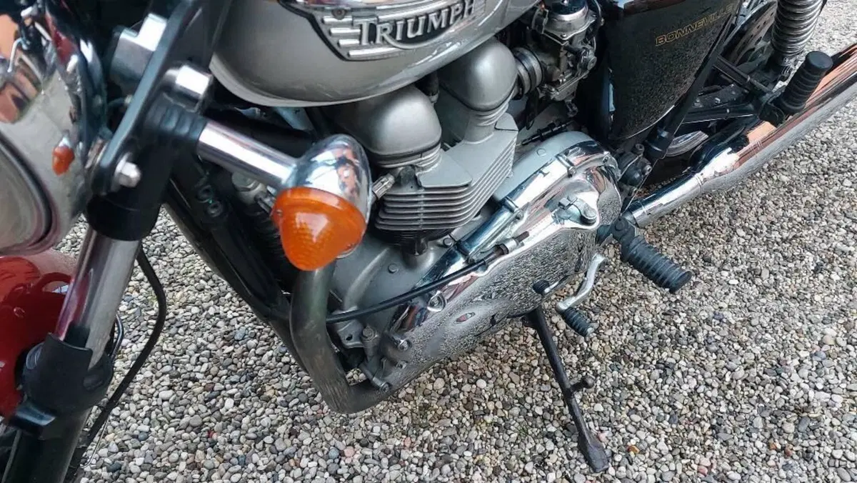 Triumph Bonneville 800 (2002 - 07)  (7)