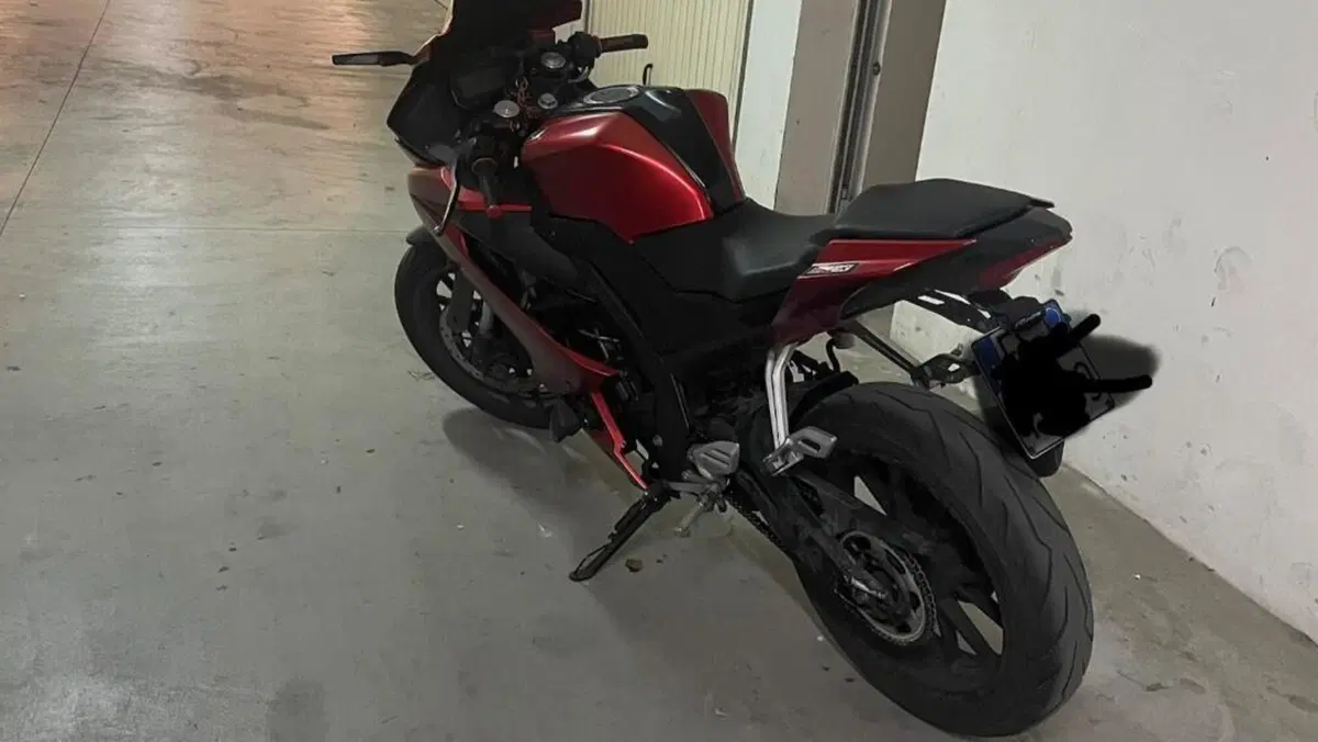 Yamaha YZF R125 (2019 - 20)  (3)