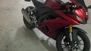 Yamaha YZF R125 (2019 - 20)  (5)