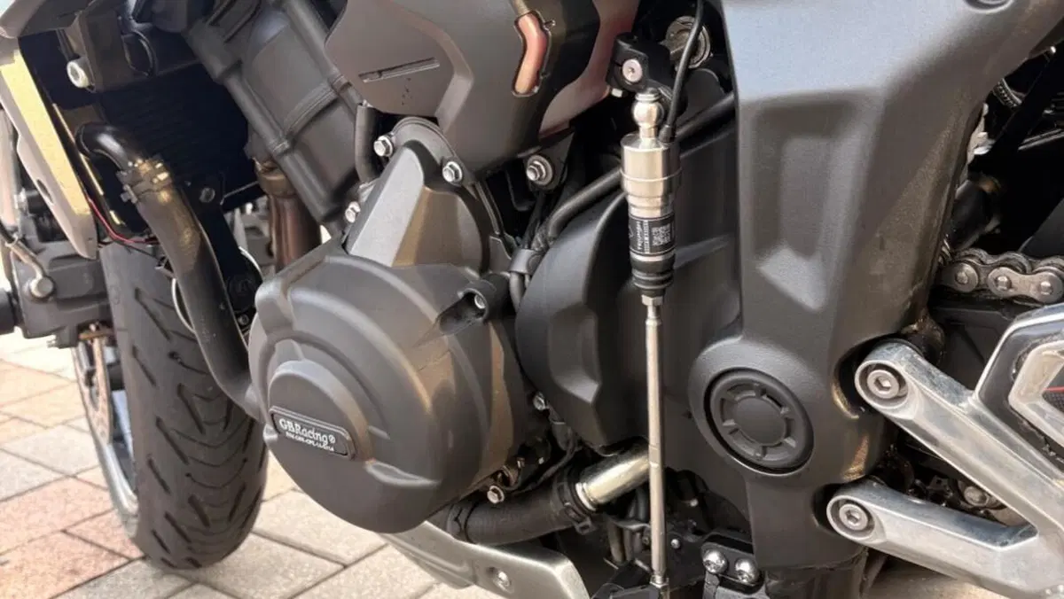 Triumph Trident 660 (2021 - 24)  (5)