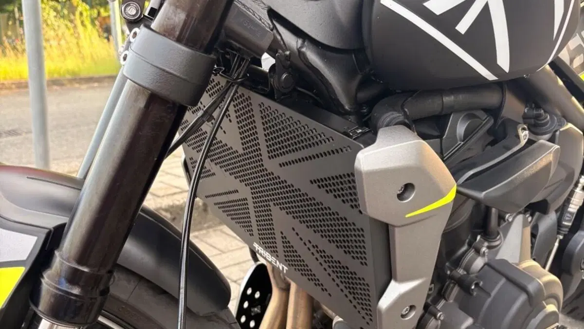 Triumph Trident 660 (2021 - 24)  (10)