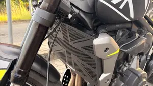 Triumph Trident 660 (2021 - 24)  (10)