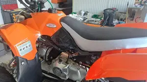  Altre moto o tipologie Quad  (3)