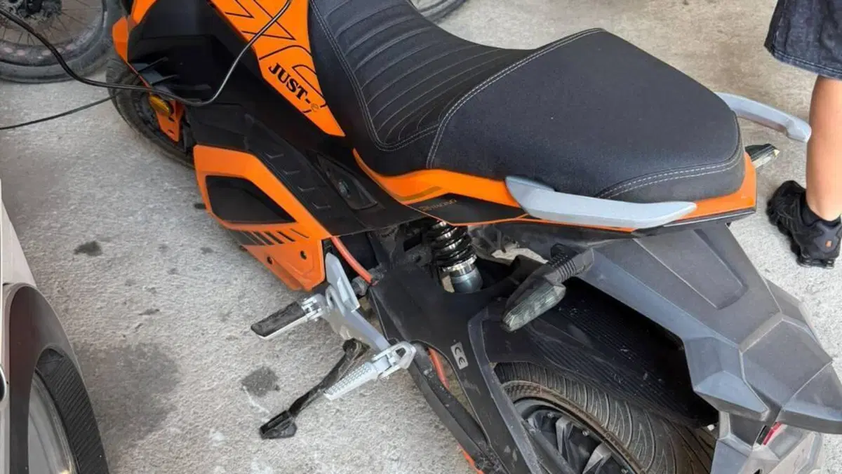  Altre moto o tipologie Elettrico  (2)