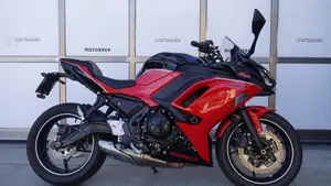 Kawasaki Ninja 650 40th Anniversary Edition (2024)  (2)