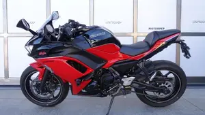 Kawasaki Ninja 650 40th Anniversary Edition (2024)  (3)