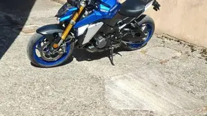 Suzuki GSX-S1000 (2021 - 25)  (2)