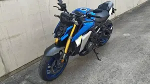 Suzuki GSX-S1000 (2021 - 25)  (5)