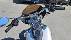 Harley-Davidson 1690 Low Rider (2014 - 17) - FXDL  (5)