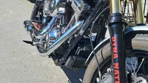 Harley-Davidson 1690 Low Rider (2014 - 17) - FXDL  (8)