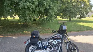 Harley-Davidson 1690 Low Rider (2014 - 17) - FXDL  (10)
