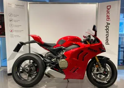 Ducati Panigale V4 S (2022 - 24) - Annuncio 10044491