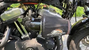 Harley-Davidson 1200 Forty-Eight (2010 - 15)  (6)