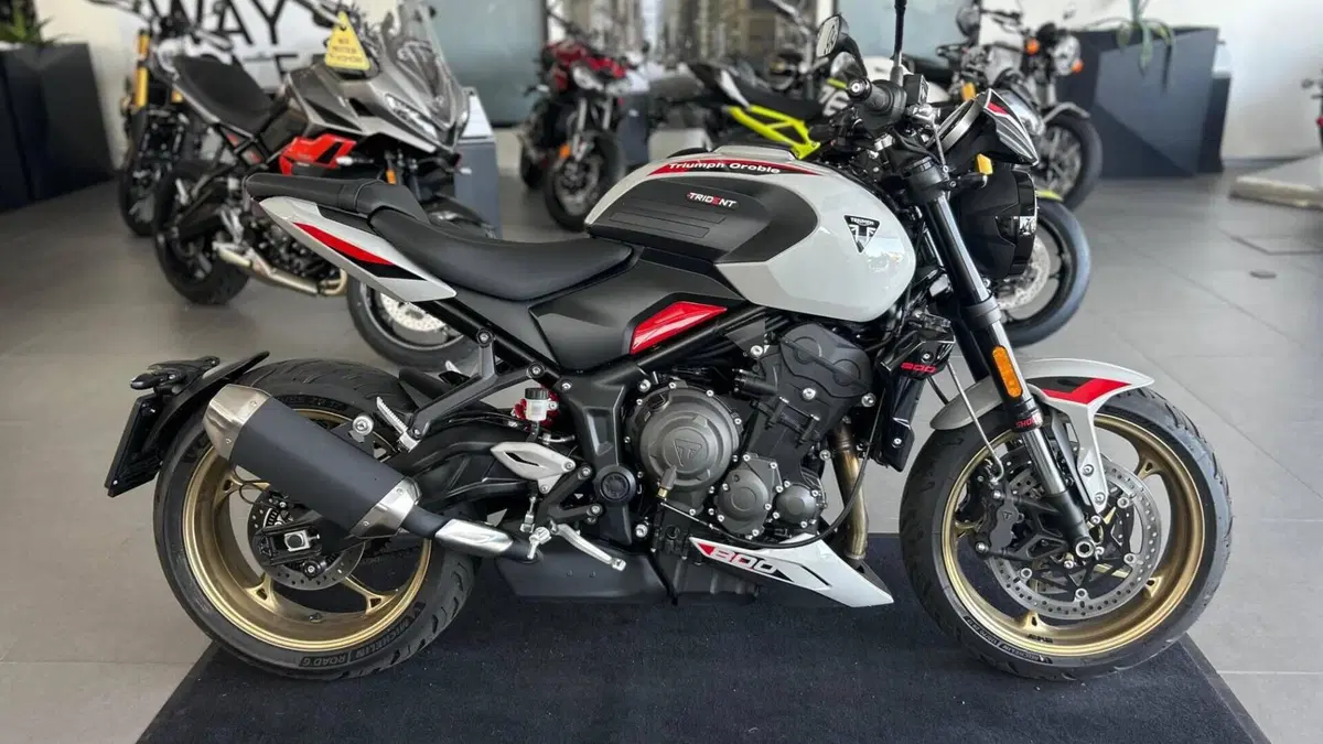 Triumph Trident 800 (2026) 