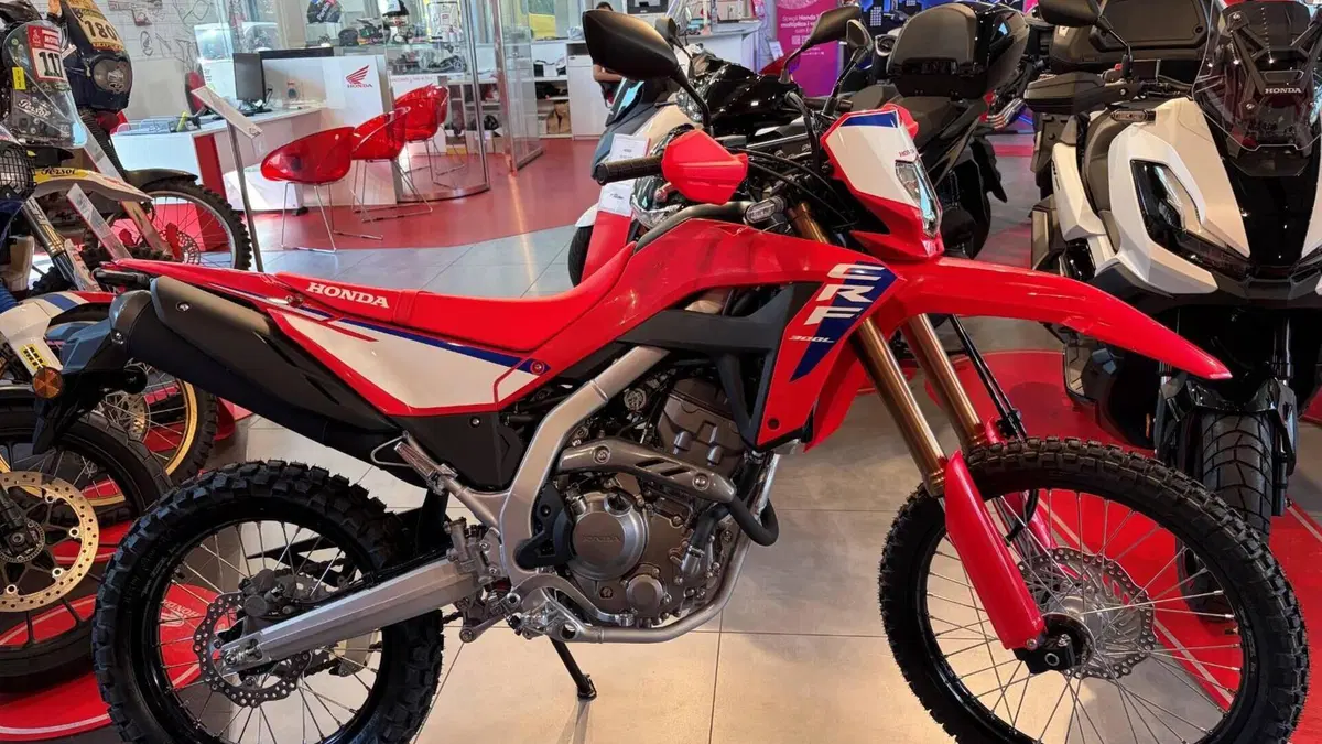 Honda CRF 300L (2025 - 26) 