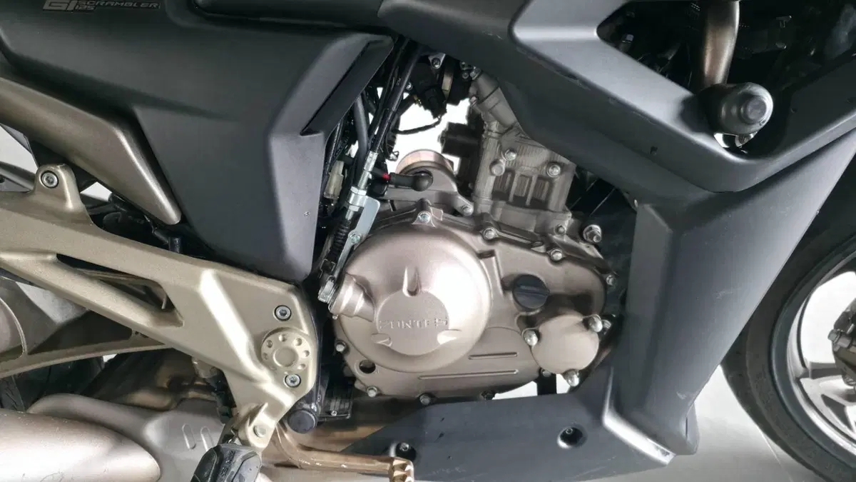Zontes ZT125-G1 (2020 - 26)  (11)