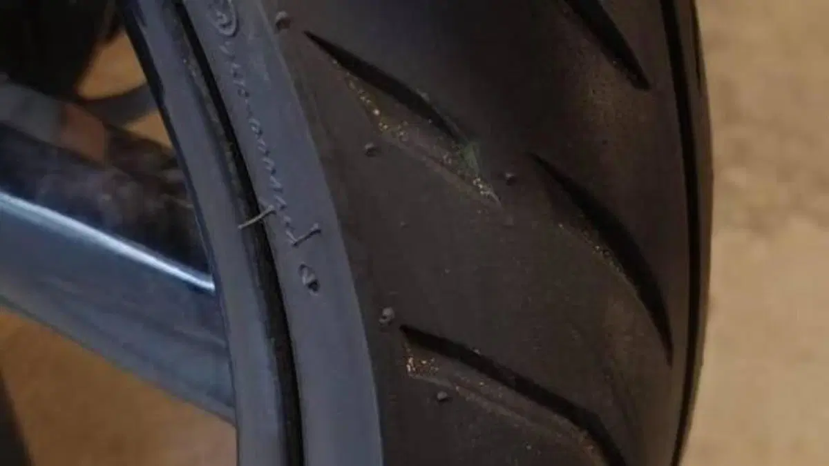 Aprilia Scarabeo 300 Special (2009 - 13)  (10)