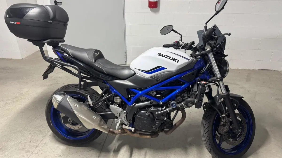 Suzuki SV 650 (2016 - 20) 