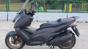 Zontes ZT350-D (2023 - 25)  (9)