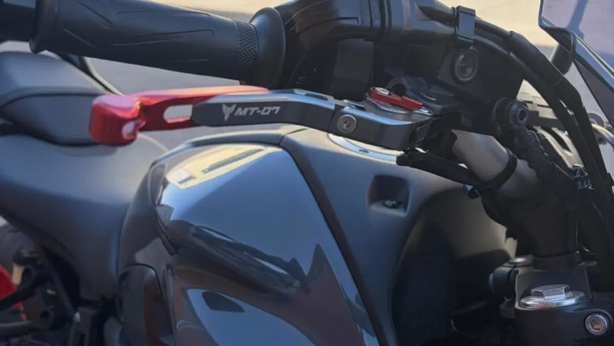 Yamaha MT-07 (2021 - 24)  (7)