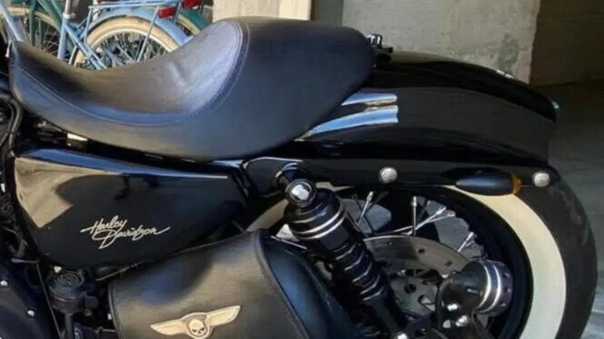Harley-Davidson 1200 Custom (2007 - 13) - XL 1200C  (2)