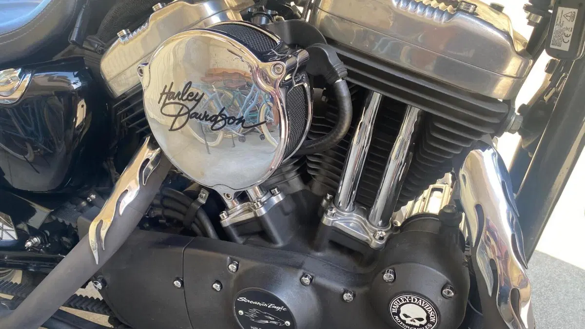 Harley-Davidson 1200 Custom (2007 - 13) - XL 1200C  (4)