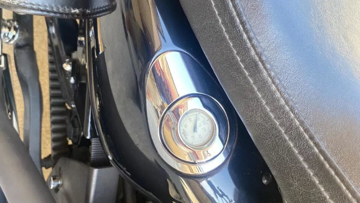 Harley-Davidson 1200 Custom (2007 - 13) - XL 1200C  (5)