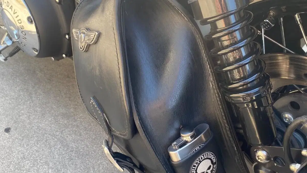 Harley-Davidson 1200 Custom (2007 - 13) - XL 1200C  (6)