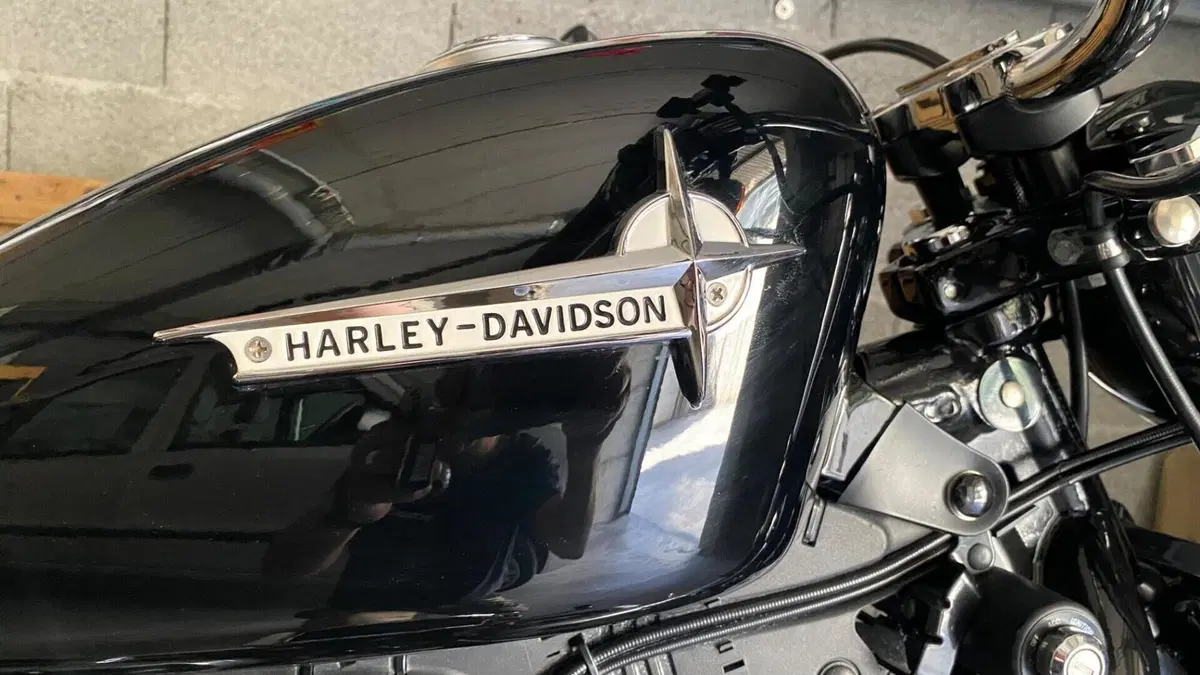 Harley-Davidson 1200 Custom (2007 - 13) - XL 1200C  (8)